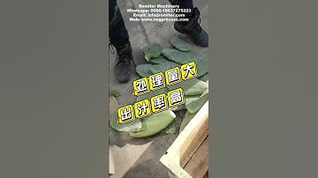 automatic cactus juicer extracting making machine