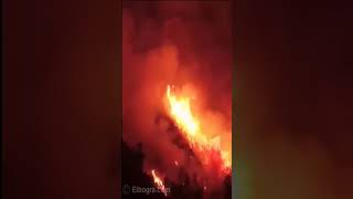 Großbrand in Algerien ??? حريق ضخم في الجزائر