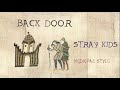 Capture de la vidéo Stray Kids - Back Door (Medieval Cover / Bardcore)