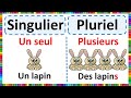 Grammaire  apprendre le singulier et le pluriel