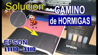 🔥 Como Solucionar el Camino de Hormigas , Epson L1110 , 3110 , sin mantenimiento