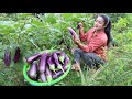 Pregnant mom harvest eggplant and cooking - Yummy eggplant recipe - Cooking with Sreypov