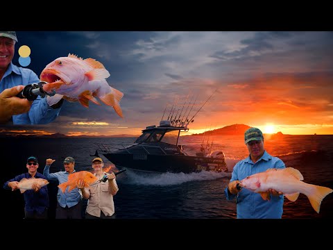 Great Barrier Reef Coral Trout Adventure!