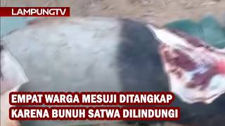 Four Mesuji Residents Arrested for Killing Protected Animal