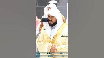 تلاوة فضيلة الشيخ أ.د _#ماهر #_المعيقلي | 🌿 سورة العاديات 🌿