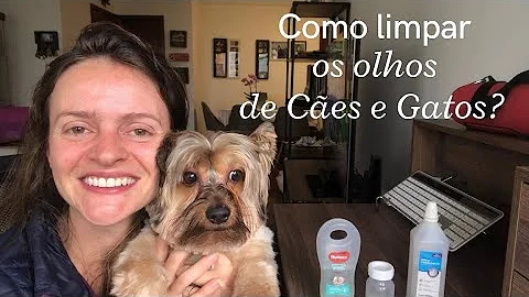 Como tratar remela no olho do cachorro?