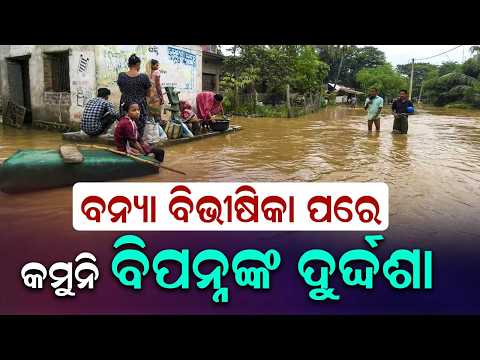 Subarnarekha River Flood Crisis: Massive Crop Loss In Balasore | Thousands Stranded | Argus News