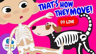 LIVE: 🦴 Vertebrates: animals with bones! | Educational Videos for Children | @HappyLearningEN