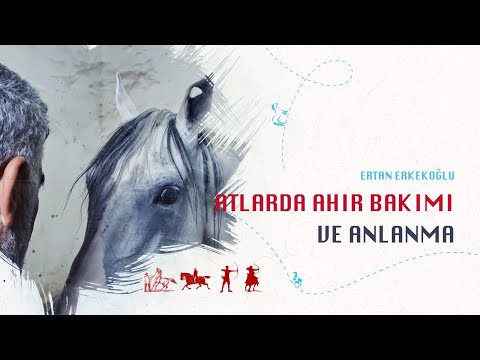 Video: Atın yelesi: neden gereklidir ve nasıl bakım yapılır