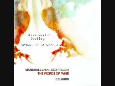 Words of Wine (Steve Mastro's Spells of La Mezcla ...