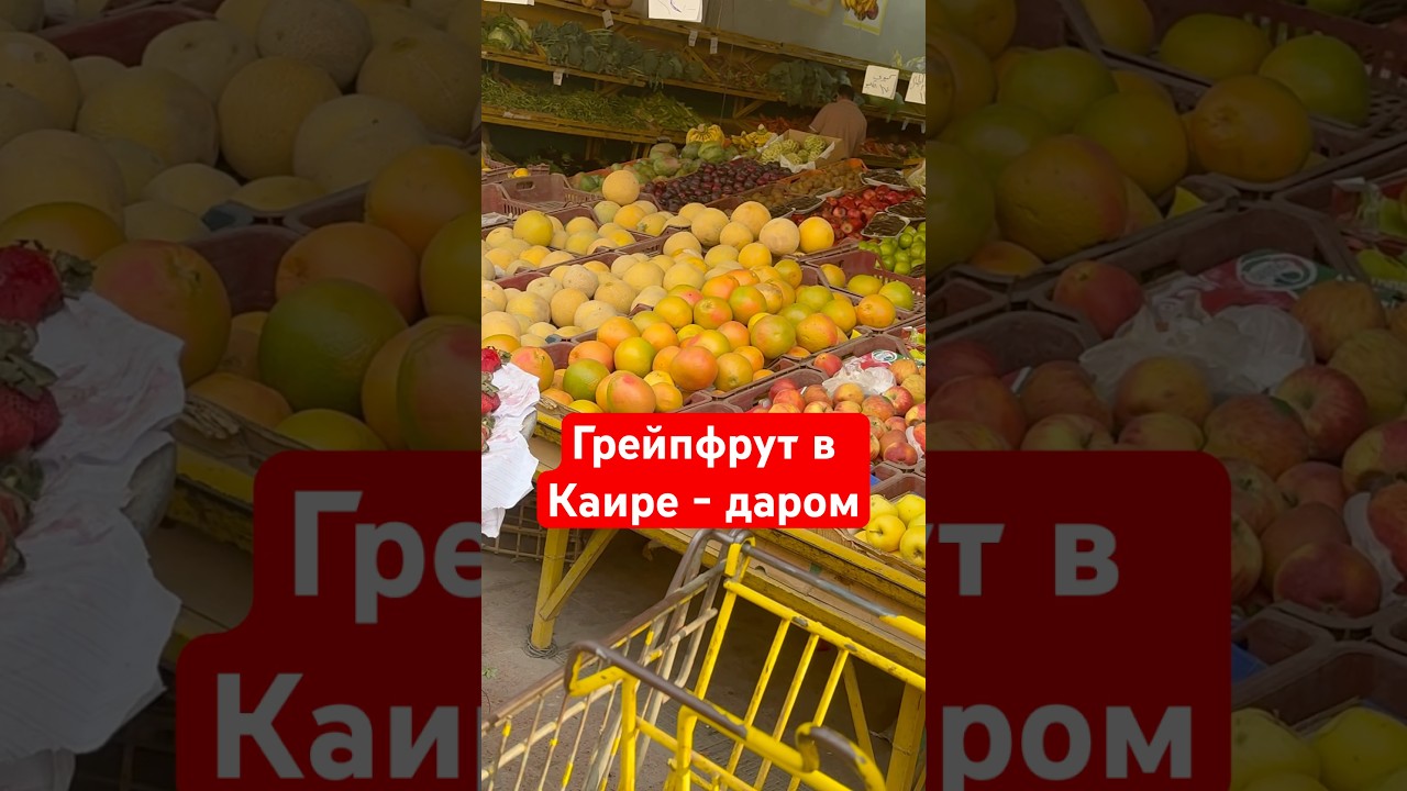 По чем грейпфрут в Каире. 3 декабрь 2025