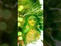 New Statuses Of Maa Durga Status Maa Durga