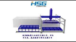 HSG Laser - Single table sheet loading and unloading automation system Net Worth