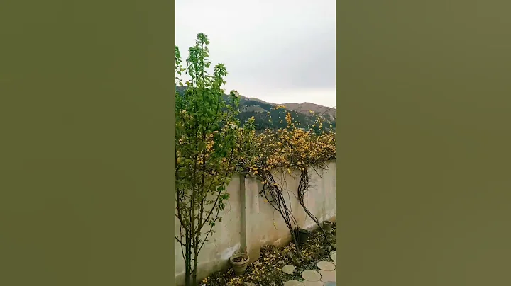spring season | beautiful view village #spring #season #beautiful #view #village - DayDayNews
