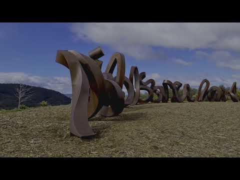 Video: Cedar Himalaya