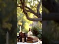 Light Academia Garden Study with calm piano