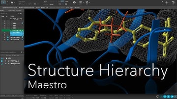 Maestro - Structure Hierarchy