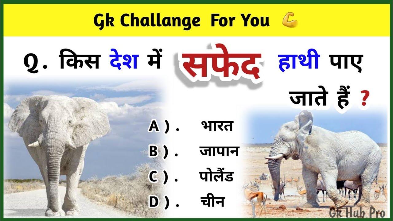 Gk In Hindi 2024 General Knowledge Questions and Answers 2024 Gk Gk In Hindi 2024 General Knowledge Questions and Answers 2024 Gk
