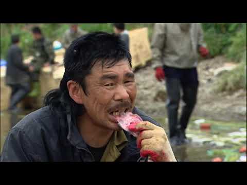 Video: So Entspannen Sie Sich Auf Kamtschatka