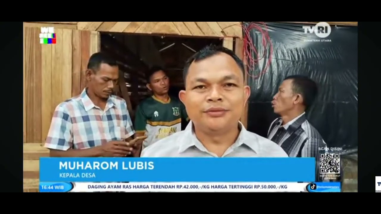 TUMBUHKAN UMKM MELALUI TERNAK AYAM KAMPUNG