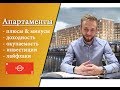 Доходность и окупаемость апартаментов Docklands в СПб. Перспективы и обзор комплекса