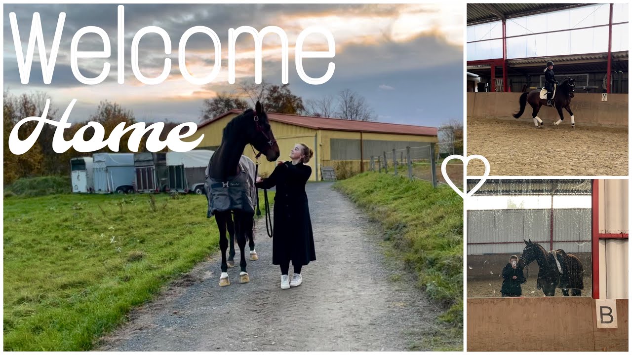 Wir holen mein neues Pferd ab🤍 Welcome home kleiner Mann
