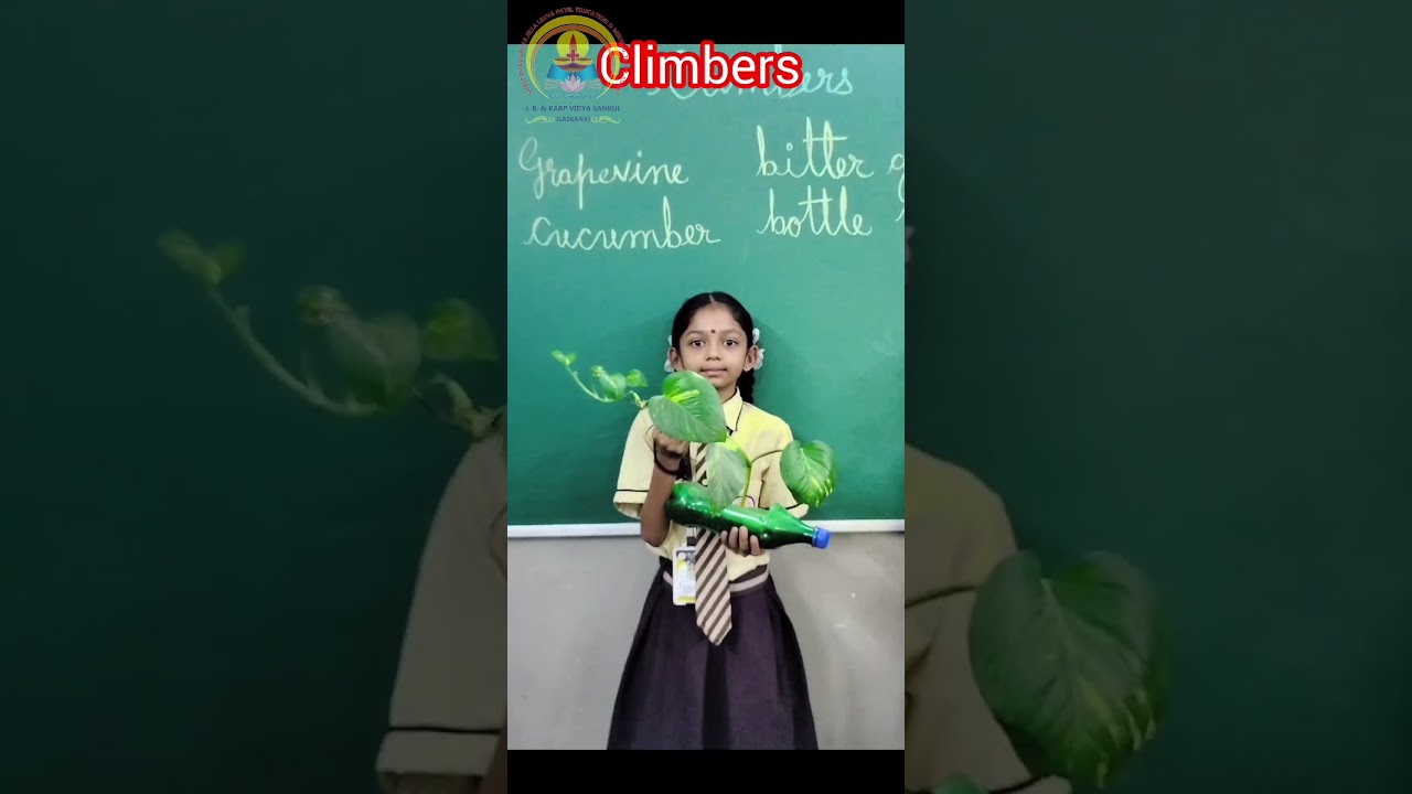 Plants Around Us 🌿 | Little Champs Learning Big Nature! #viral #education #naturekids #naturalworld