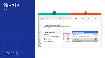 Data entry (think-cell tutorials)
