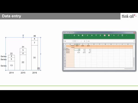 Data entry (think-cell tutorials)