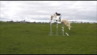 jumping- bareback- no bridle.