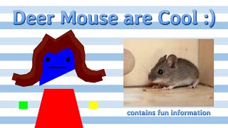A Video About Deer Mouse