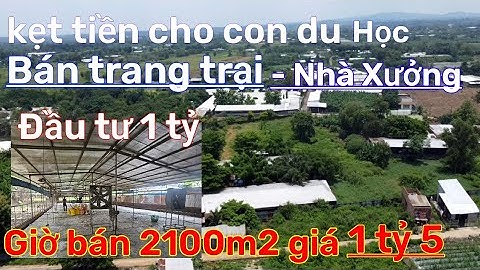 (Đã bán) nông trại 2100m2 đầu tư hết 1 tỷ giờ bán chỉ 1ty5 cho con đi du học ở nước ngoài