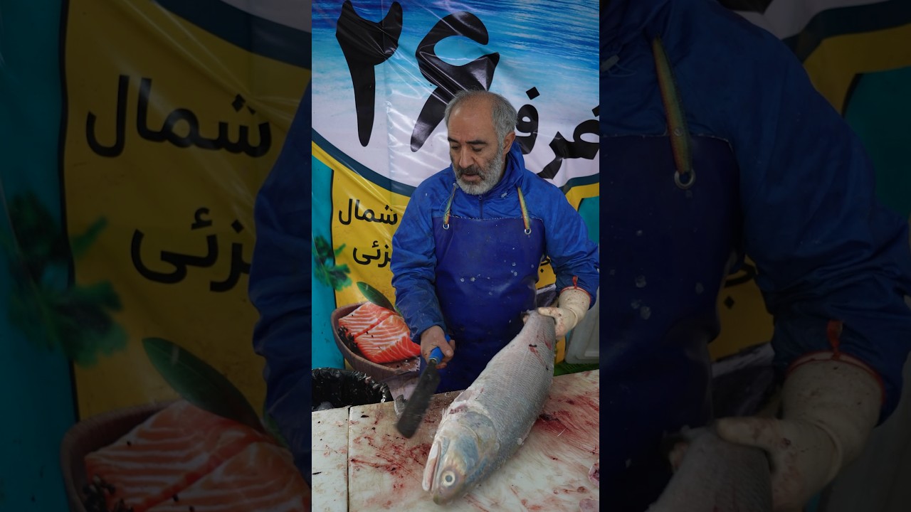 Big Fish Steak Cutting – Fourfinger Threadfin Masterclass