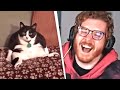 Unge REAGIERT auf UNUSUAL MEMES V112 😂🐈 | ungeklickt