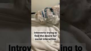 Download Lagu Introverts Be Like MP3