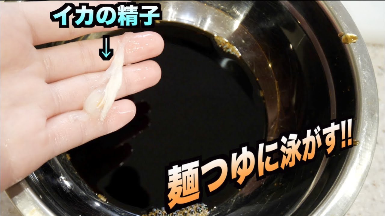 イカの精子を麺つゆに泳がしてみたらこうなった Youtube