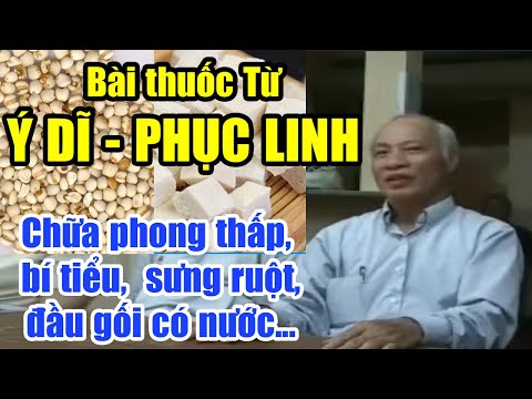 Video Bài thuốc cháo Ý Dĩ - Phục Linh | Chữa phong thấp, bí... - youtube