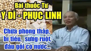 Coix porridge recipe Poria cocos Cure rheumatism urinary retention fluid in lung