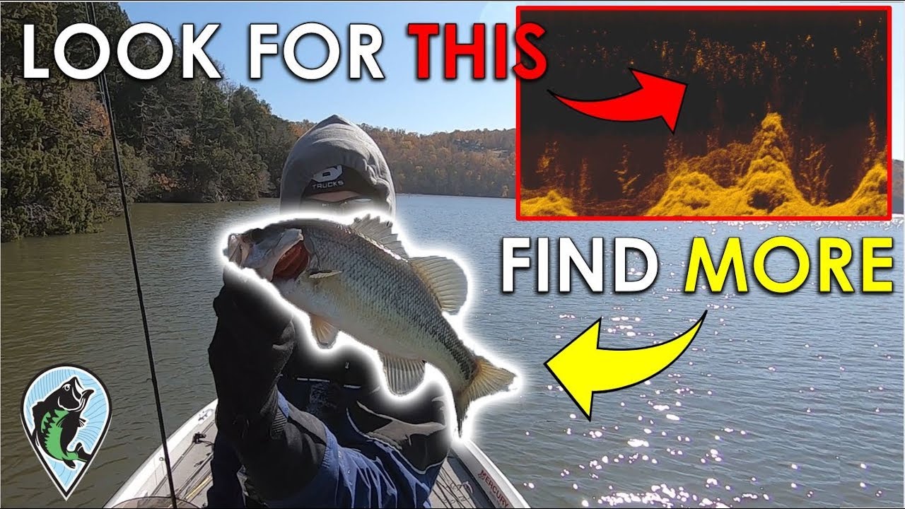 Fish Finder Trick to Find Bass Fast in the Winter