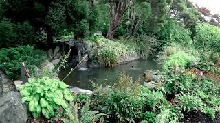 Walking Victoria BC  at the Japanese Gardens  on The Gorge Waterway,  Thanksgiving Weekend  2025