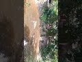 #তারে# হারিয়ে #বুঝেছি #সেজে কি# ছিল #আমার #