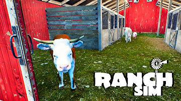 Hired As Ranch Hand And Building Fences For My Chickens! | Ranch Simulator | PC Multiplayer Gameplay