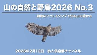 Mountain Nature and Wild Birds 2026 No. 3February 12, 2026 Wild