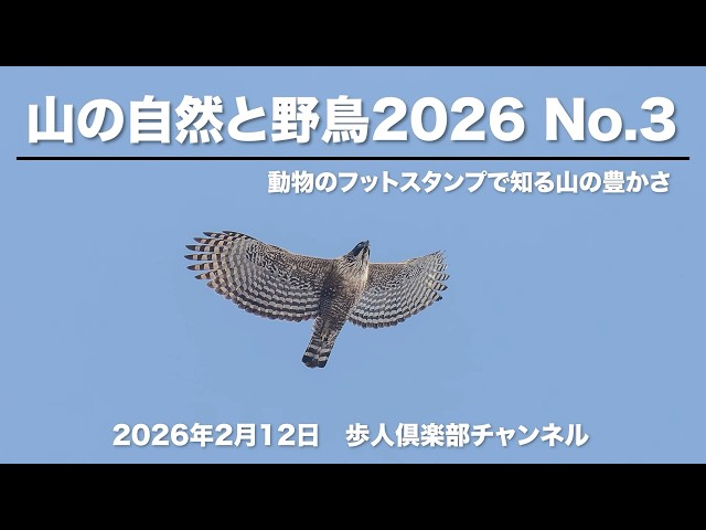 Mountain Nature and Wild Birds 2026 No. 3February 12, 2026 Wild