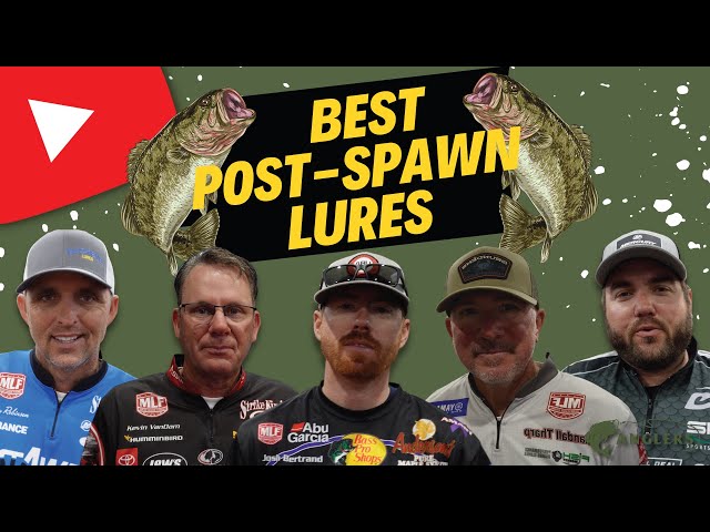 Use These Post-Spawn 🎣 Bass Lures! 