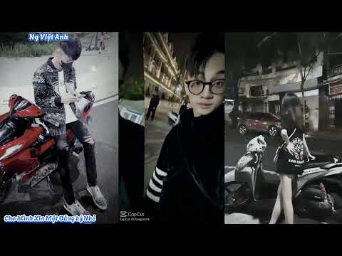 Tổng Hợp Những Các Video Idol Tik Tok 