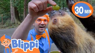 Blippi Explores the Wildlife! | Blippi | Cars, Trucks & Vehicles Cartoon | Moonbug Kids