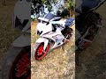 R15 v4 white 🤍 horse