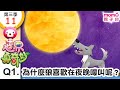 世界真奇妙S3 11 Q1 為什麼狼喜歡在夜晚嚎叫呢 為什麼 為甚麼 WHY 孩子的疑問 Q A 學習新知長知識 教育問答 第三季 第11集 題目01 親子台 官方HD短版 Momokids 世界真奇妙S3 11 Q1 為什麼狼喜歡在夜晚嚎叫呢 為什麼 為甚麼 WHY 孩子的疑問 Q A 學習新知長知識 教育問答 第三季 第11集 題目01 親子台 官方HD短版 Momokids