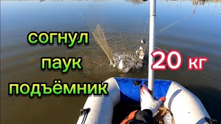 ОХ☆ЕЛ ОТ ТАКОЙ РЫБАЛКИ НЕ МОГУ ПОДНЯТЬ ПАУК ПОДЪЁМНИК. РЫБАЛКА В КОРЕЕ. #fishing #рыбалка